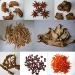 Chinese_Herbs1