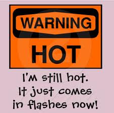 herbs for hot flashes and menopause