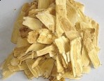 Chinese herb astragalus boosts your immune system