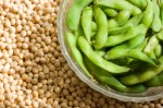 Soy for menopause or bio-identical homrmones