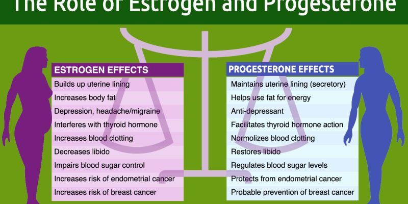 Progesterone supplements